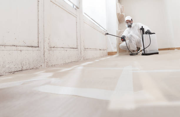24/7 Emergency Mold Remediation experts in Holly Springs, GA