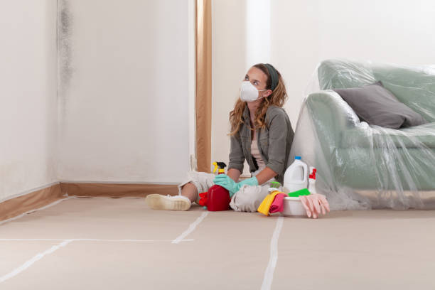 Reliable Mold Remediation contractor in Holly Springs, GA by 24 Hour Mold Removal